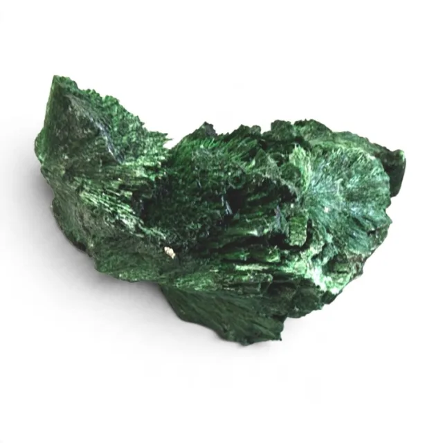 Premium Fibrous Malachite Specimens (30-40mm) – DRC