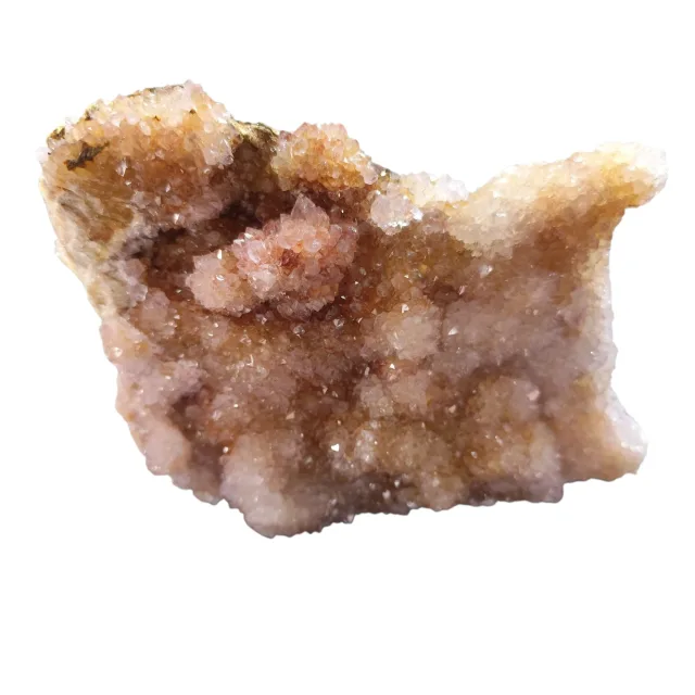 Cactus quartz from Boekenhouthoek, 18 x 14 cm