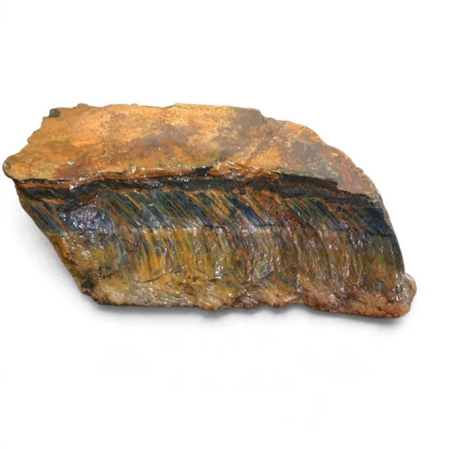Rough Blue & Yellow Tigers Eye Mixed 6-14.2cm