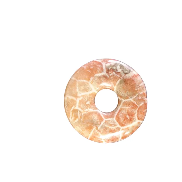 Fossil coral donut, 25mm with 7mm diameter hole