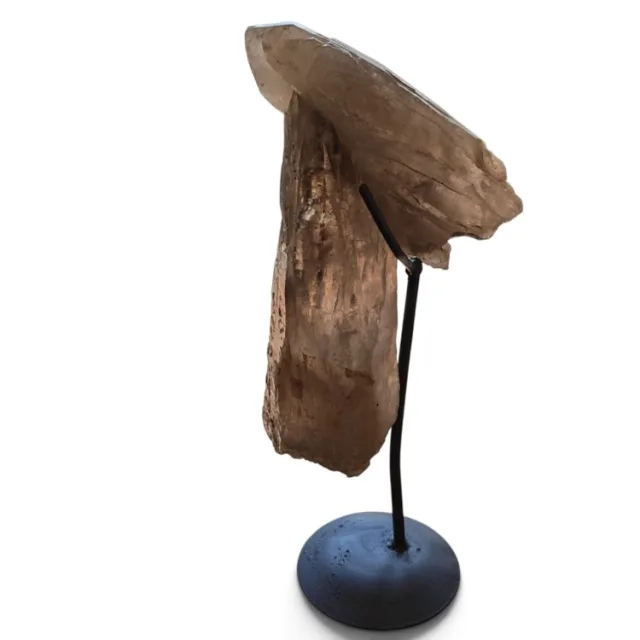 Double terminated smoky quartz point joined with another point, Namibia, 32 x 23 x 9cm