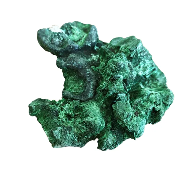 Premium Fibrous Malachite Specimens (55-80mm) – DRC