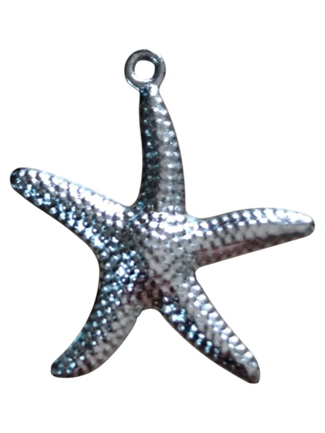 2x Starfish charm in stainless steel, 22mm